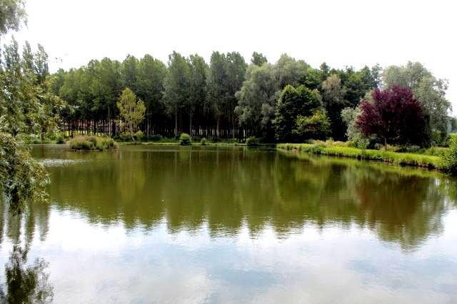 L’étang de Bellefontaine